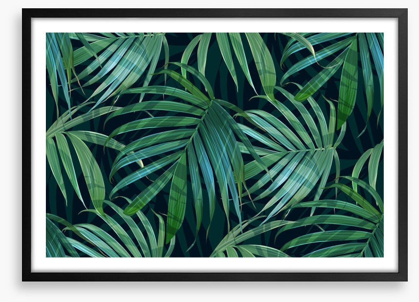 Fronds of fancy