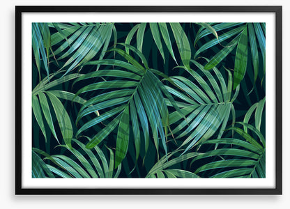 Fronds of fancy