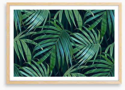 Fronds of fancy