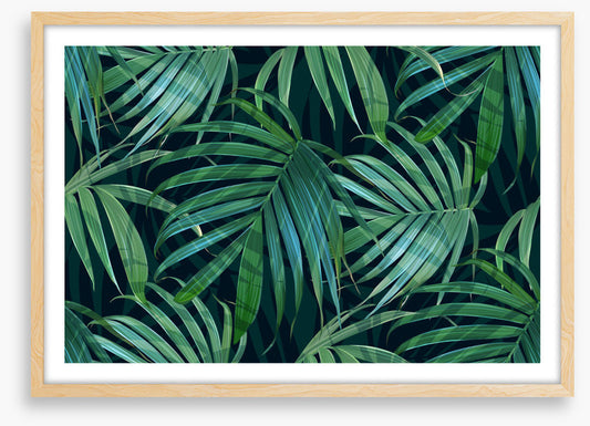 Fronds of fancy