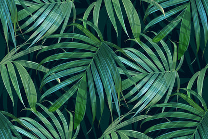 Fronds of fancy