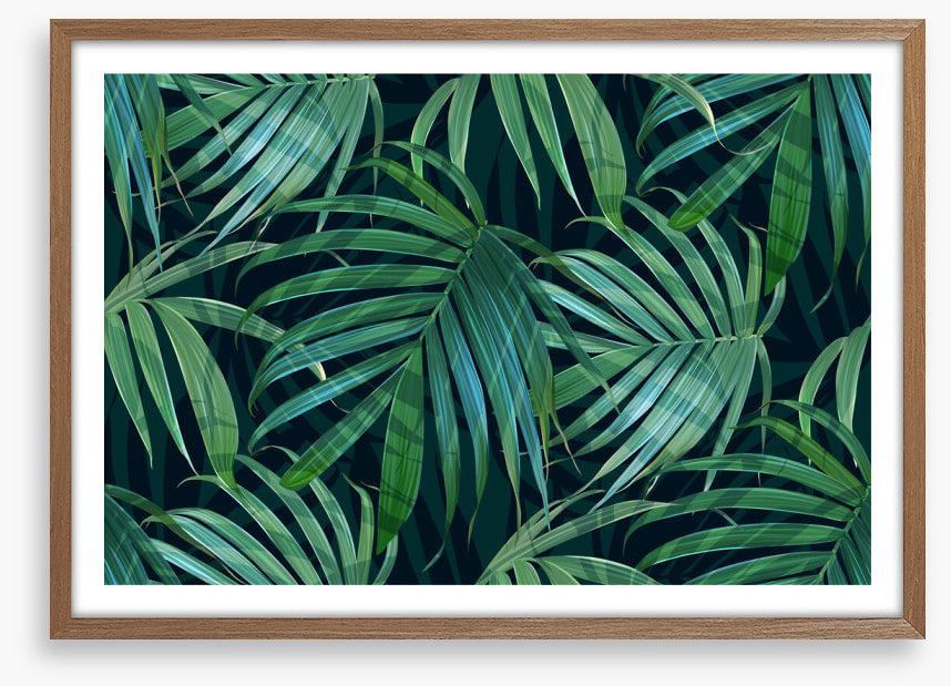 Fronds of fancy