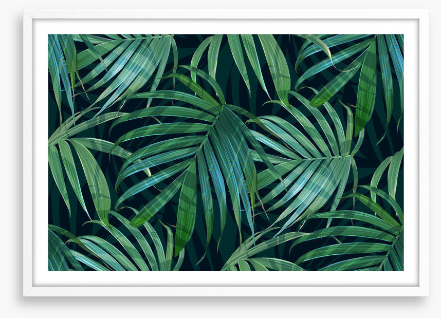 Fronds of fancy