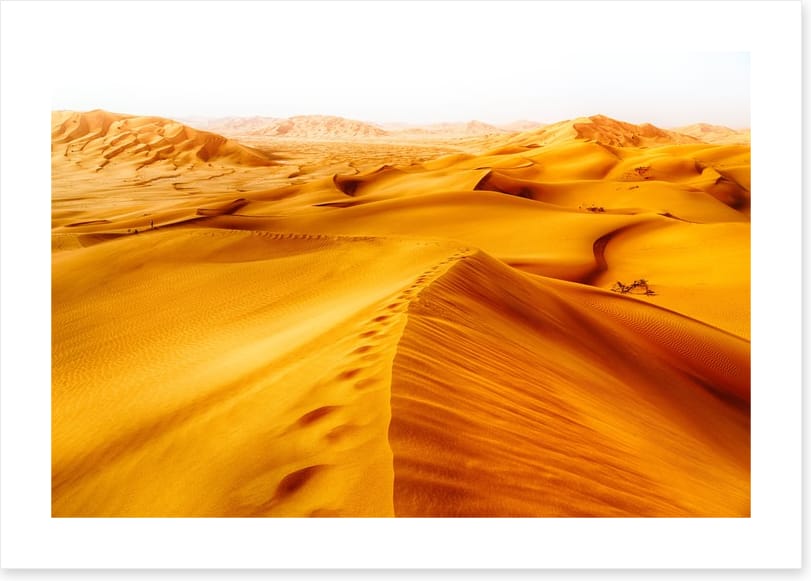 Desert
