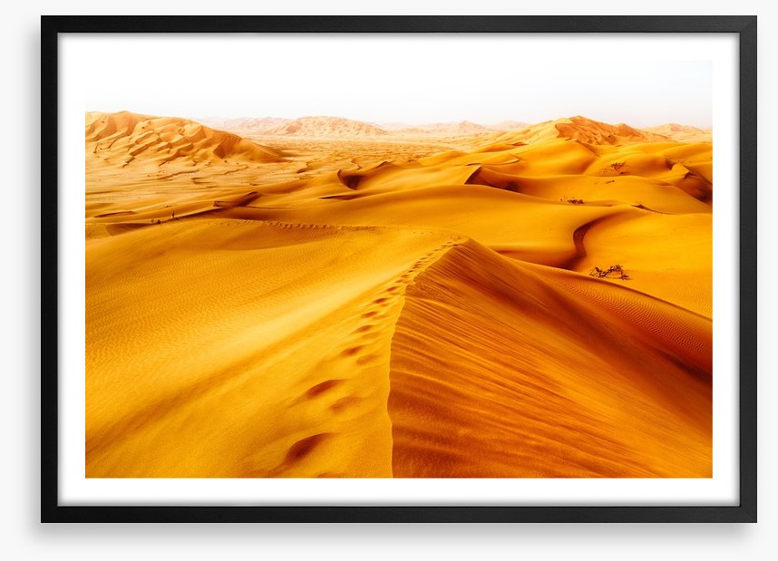 Desert