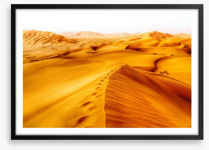 Desert