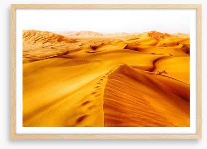 Desert