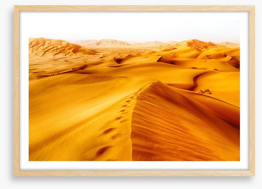 Desert