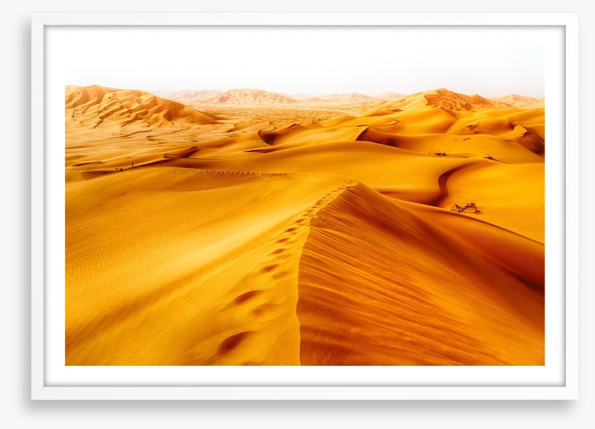 Desert