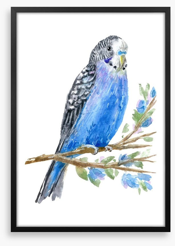 Blue budgie branch