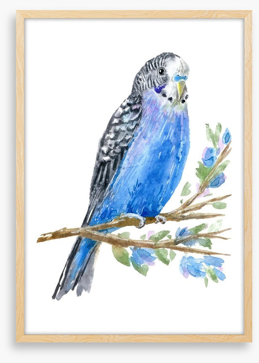 Blue budgie branch