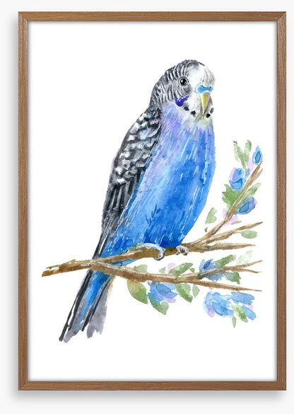 Blue budgie branch