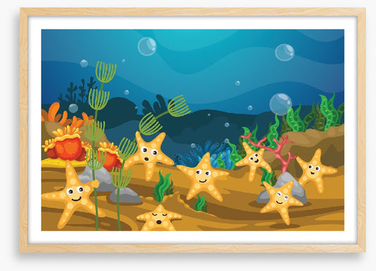 Starfish seven