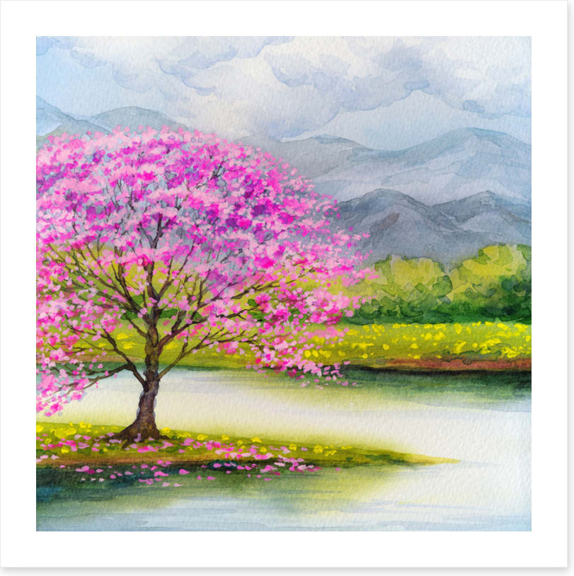 Pink blossom lake
