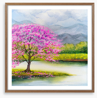 Pink blossom lake