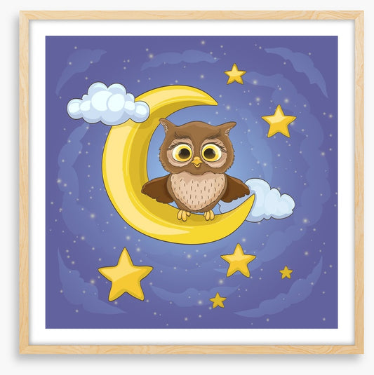 The moon owl