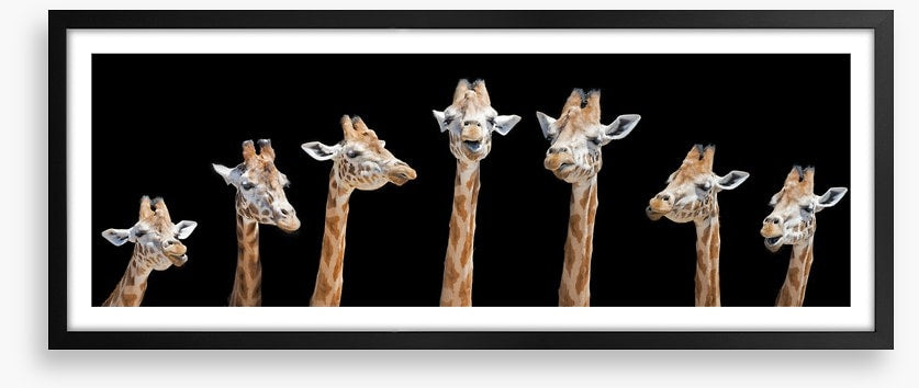 Seven giraffes
