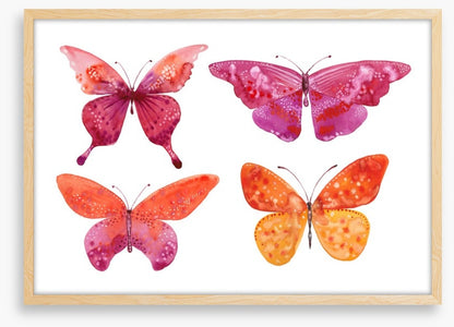 Butterflies
