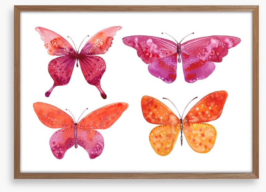 Butterflies