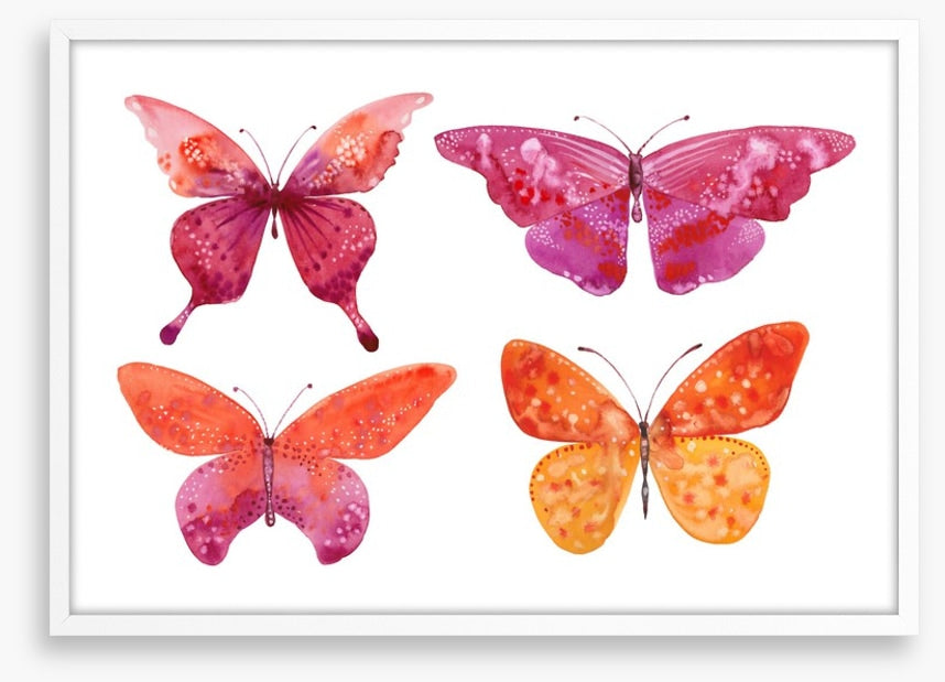 Butterflies