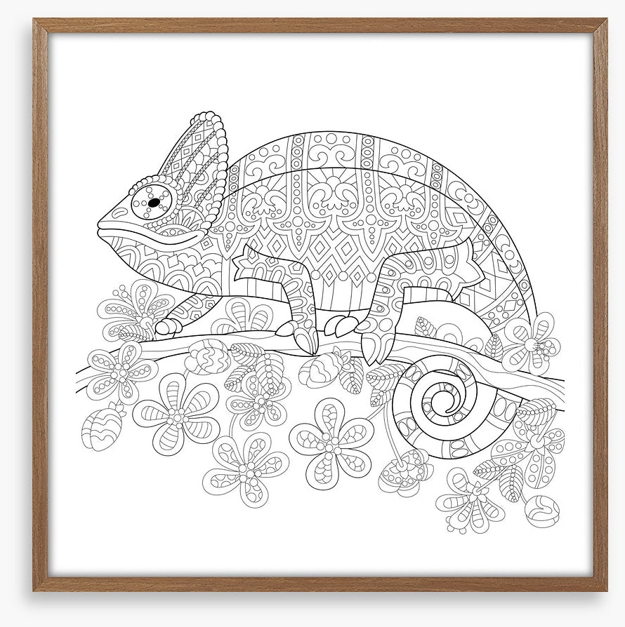 Colour me veiled chameleon