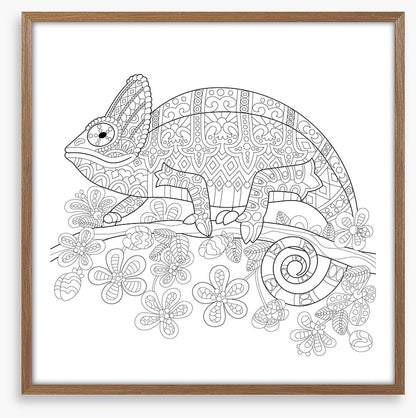 Colour me veiled chameleon