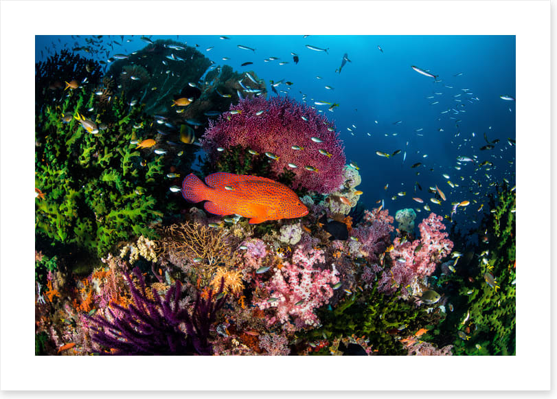 Underwater