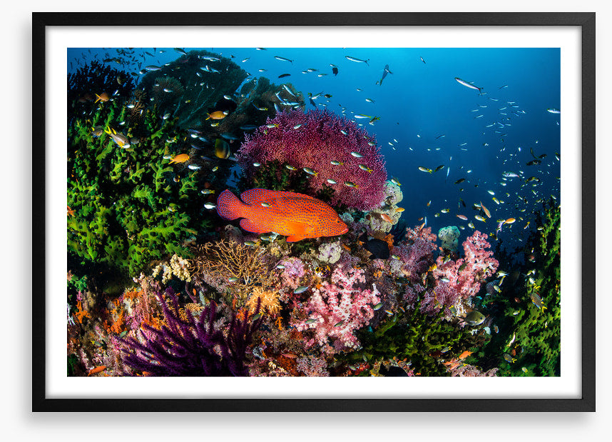 Underwater