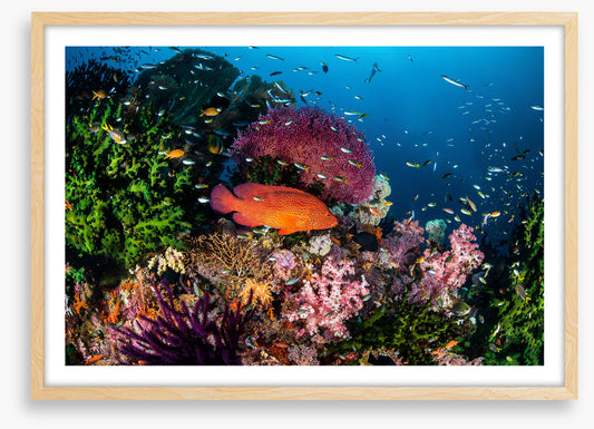 Underwater