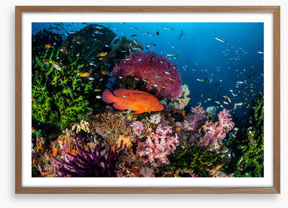 Underwater