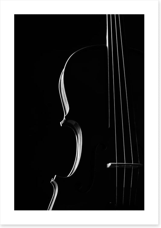 Symphony silhouette