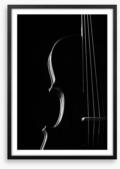 Symphony silhouette