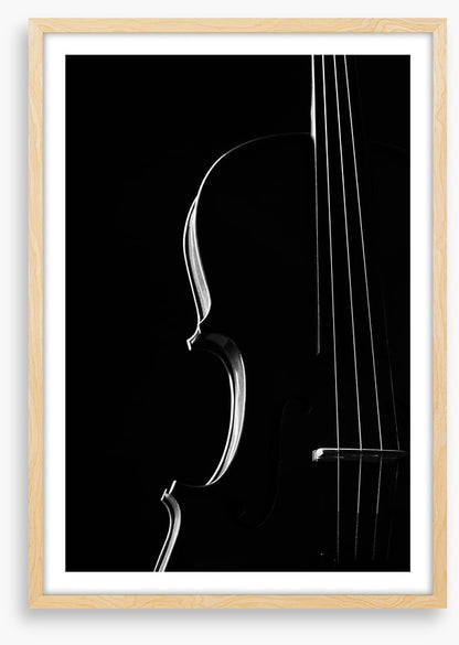 Symphony silhouette