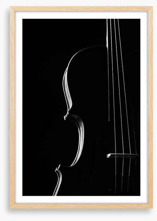 Symphony silhouette
