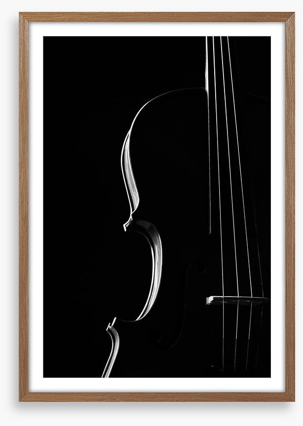 Symphony silhouette