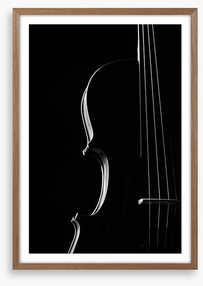 Symphony silhouette