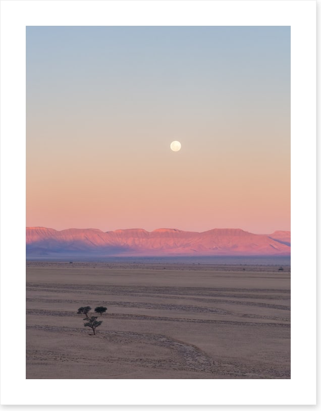 Desert moonrise