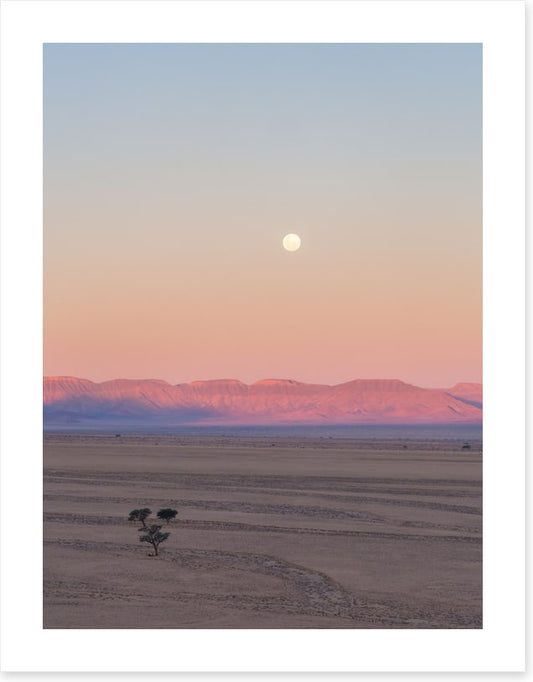 Desert moonrise