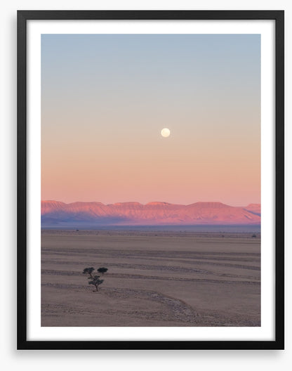 Desert moonrise