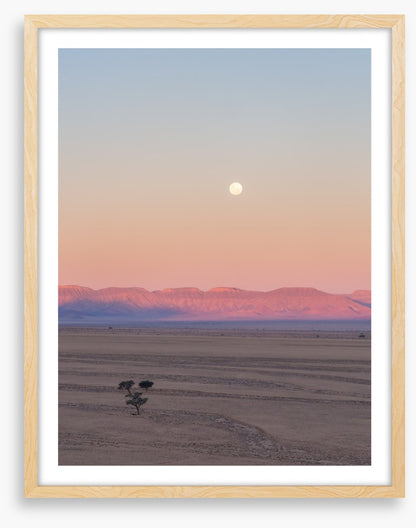 Desert moonrise