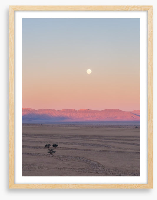 Desert moonrise