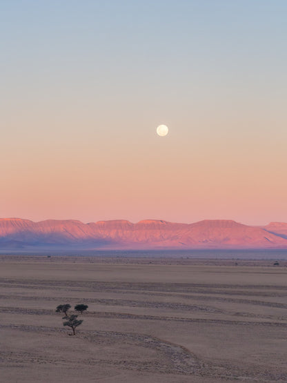 Desert moonrise