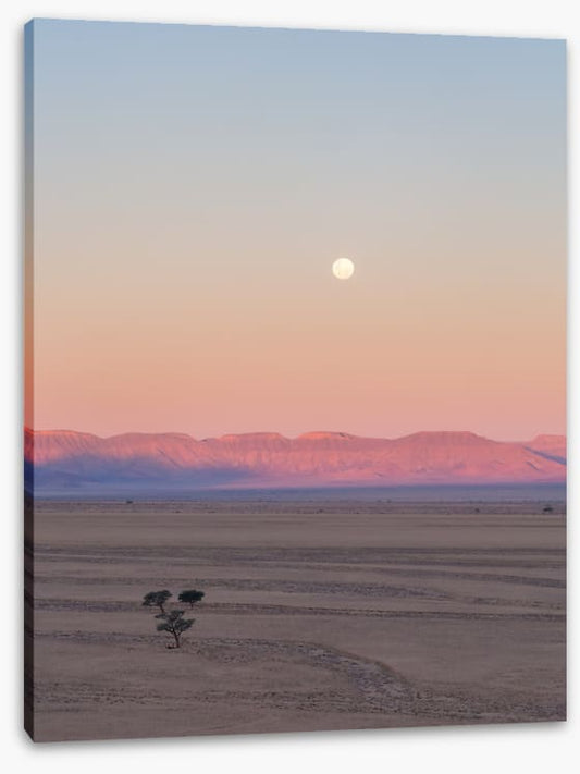Desert moonrise
