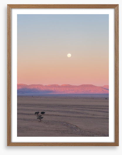 Desert moonrise