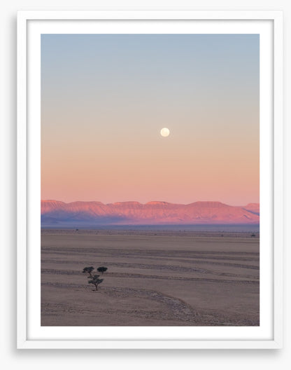 Desert moonrise