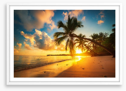 Punta Cana palms