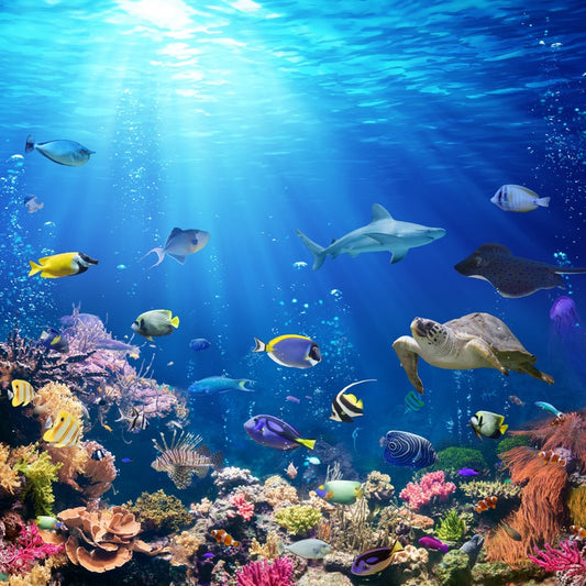 A reef perspective