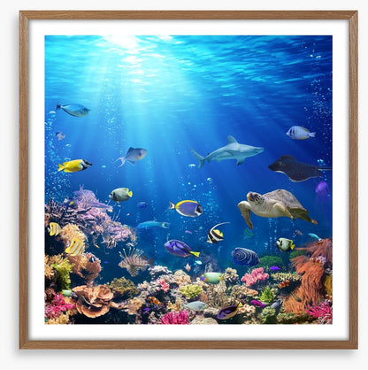 A reef perspective