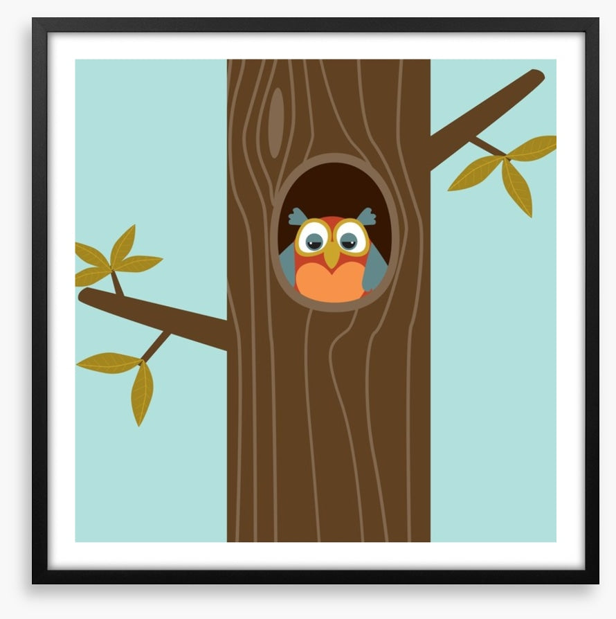Owls