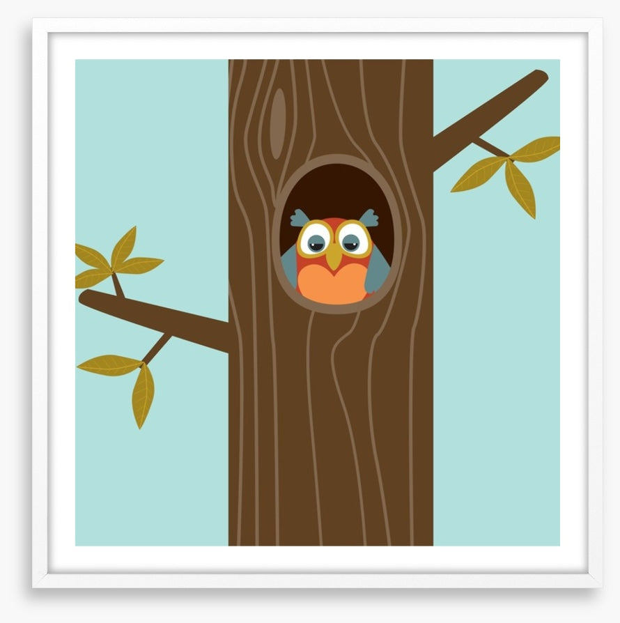 Owls